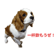 789385602