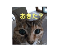 789386122