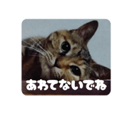 789386125