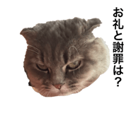 789396921