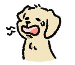 ลายที่ 5