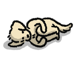 ลายที่ 13