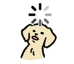 ลายที่ 17