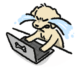 ลายที่ 19