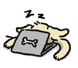 ลายที่ 21