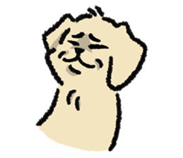 ลายที่ 27