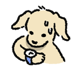 ลายที่ 35