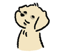 ลายที่ 41