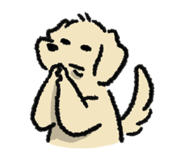 ลายที่ 43