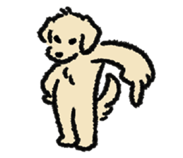 ลายที่ 45