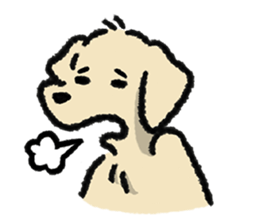 ลายที่ 47