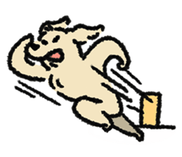 ลายที่ 51