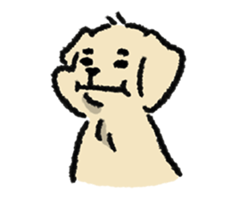 ลายที่ 63