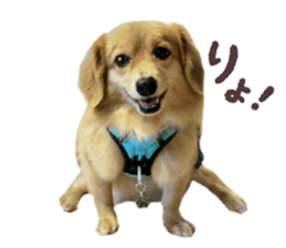 789446519