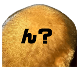 789448602