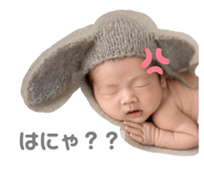 789480224