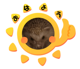 789482902