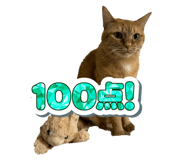 789495101