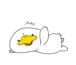 7895124