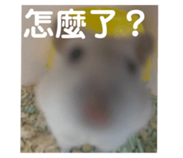 789512916