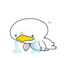7895136