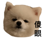 789531081