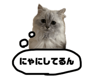 789533869