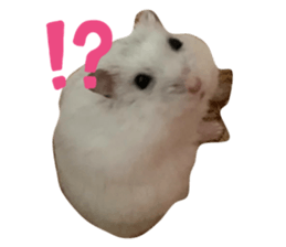 789540745