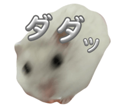 789540747