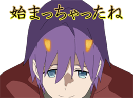 78954205