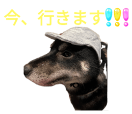 789545015