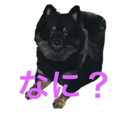 789550097