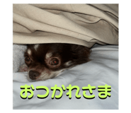 789550139