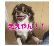 789550144