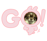 789550149