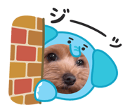 789556009