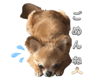 789557209