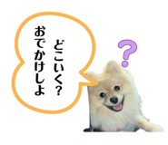 789569749