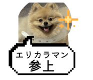 789569752