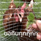 789573421