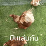 789573424