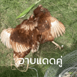 789573430