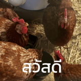 789573441
