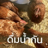 789573446