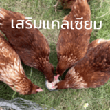 789573451