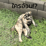 789573462