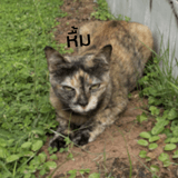 789573471