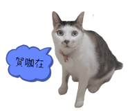789608531