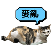 789608535