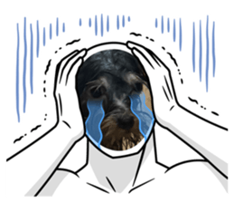 789609594